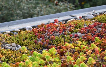 the cost of Grade green roof installation
