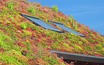 Grade living roof systems
