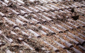 Grade roof cleaning companies